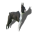 der-boston-terrier.de
