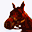 derbyfever.com