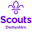 derbyshirescouts.org