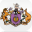 dermcoll.edu.au