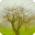 derwen.ai