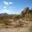 desertdba.com