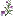 desertwillow.com