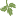 designwestlandscape.com