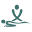 destackterapias.com