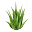 detoxjuicebar.com