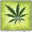 detoxmarijuanafast.com