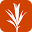 devseed.com