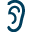 dgs.pl