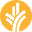 dhp.org