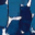 didatic.net