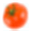 didweloseweight.com