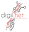 digii.net