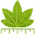digimizer.com