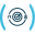 directverify.in
