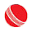 discountcricketoutlet.com