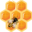discoverbeekeeping.com