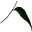 discoverneem.com