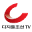 dizzotv.com