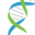 dna-solutions.it