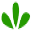 doctorspring.com