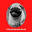 dog.delhibazar.online