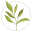 dogaltane.com