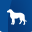 dogs-wallpapers.eu