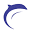 dolphinlasermachine.com