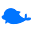 dolphinuz.com