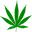 dopecfo.com