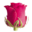 doreny.cl