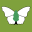 dorsetbutterflies.com