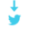 downloader4twitter.com