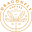 dragonflycoffeeroasters.com