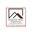 dragonflyservicesllc.com