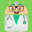 drdroid.hu