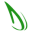 dreamtree.co.in