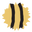 drewshoneybees.com