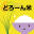 dronerice.jp