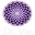 drviesuperfoods.com