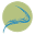 drycreekvalley.org