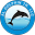 dsafemea.com