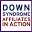 dsaia.org