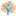 dsc-illinois.org