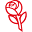 dsu.net