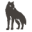 dukelupus.net