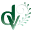 dvarteverde.com
