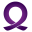 dvconnect.org