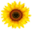dynamismtech.com